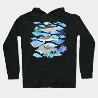 shark Hoodie